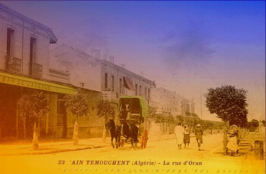AIN TEMOUCHENT 26.jpg